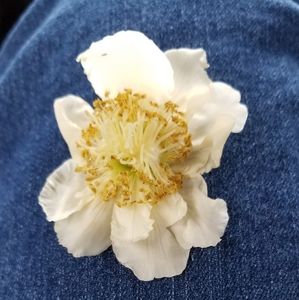 Meet your Posher, Elaine